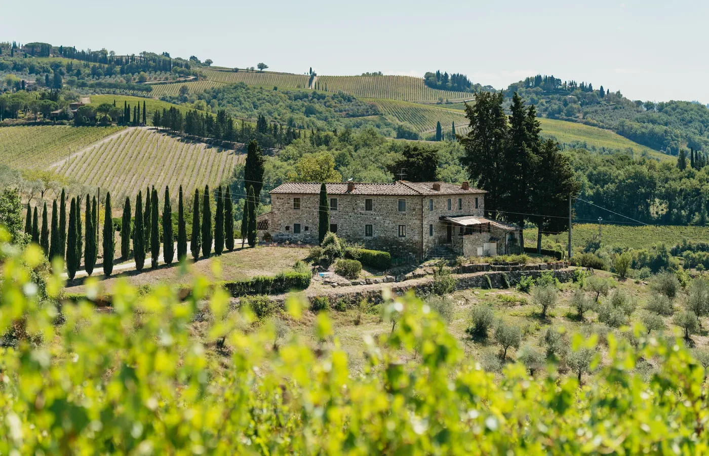 A stone farmhouse on a ridge in the Chianti hills between Florence and Siena, with a cypress-lined drive, terraced vineyard rows on the slopes behind and olive trees in the foreground.